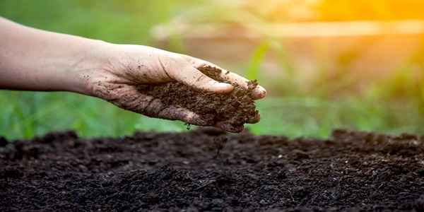قیمت خرید خاک پرومکس ۱۵ لیتری + قیمت فروش استثنایی